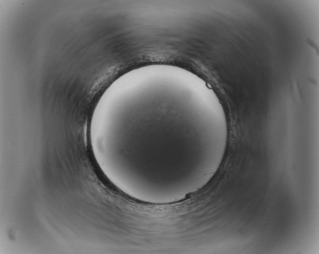 X0000102400019200808221858