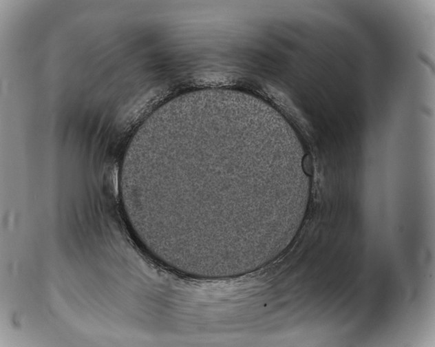 X0000102400021200808221858