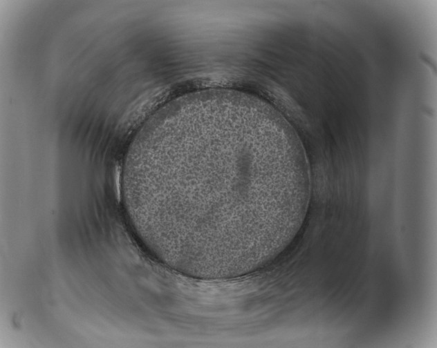 X0000102400022200808221858