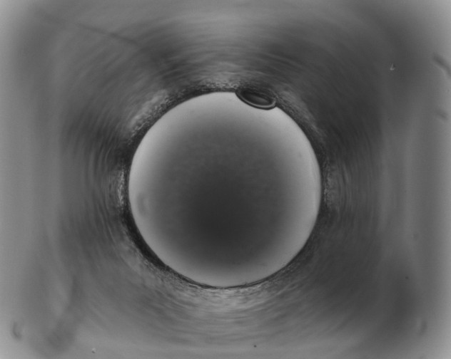 X0000102400023200808221858