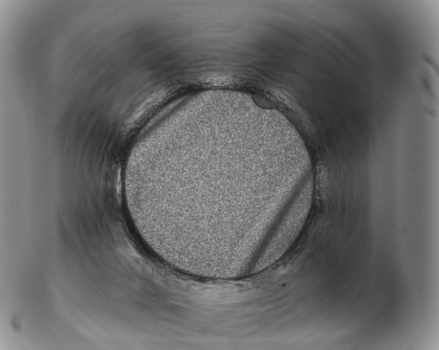 X0000102400024200808221858