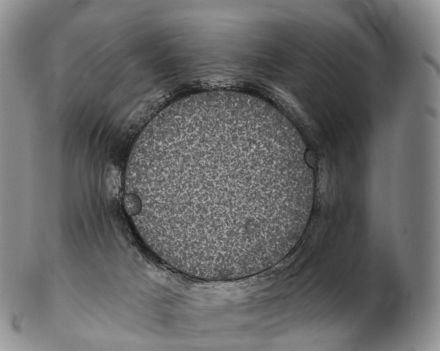 X0000102400025200808221858