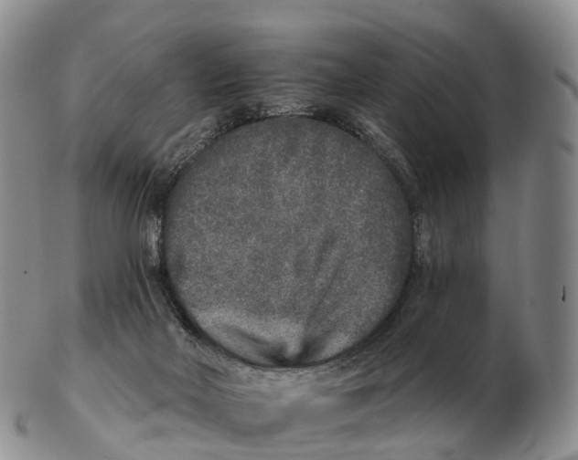 X0000102400026200808221858