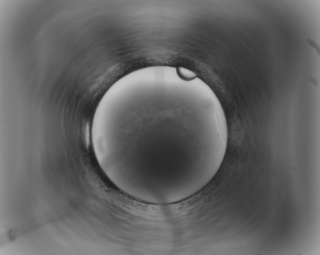 X0000102400027200808221858