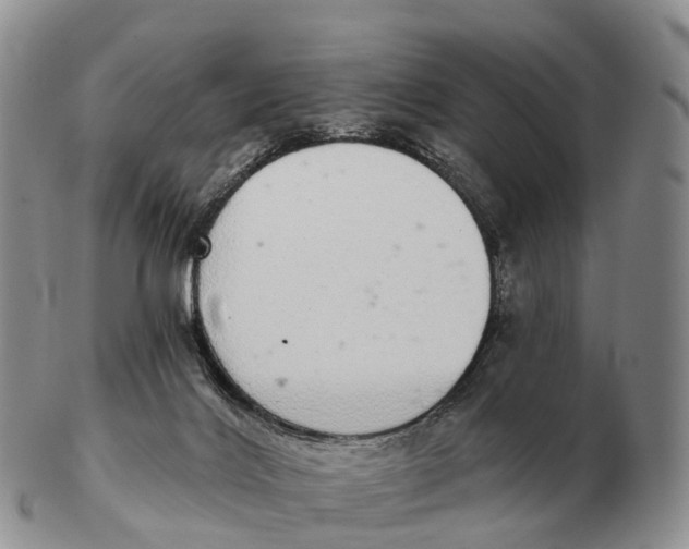 X0000102400028200808221858