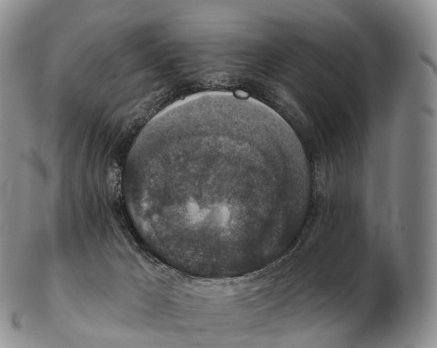 X0000102400029200808221858