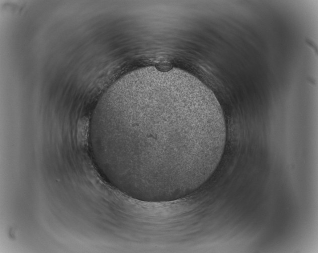 X0000102400030200808221858