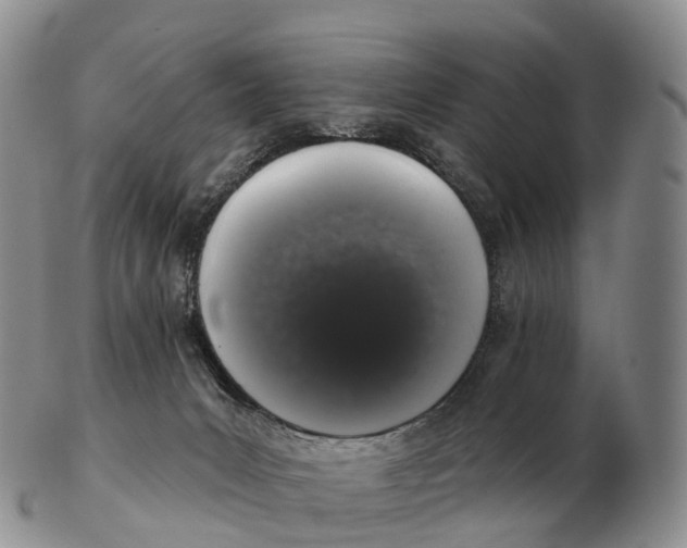 X0000102400031200808221858