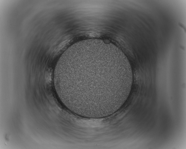 X0000102400032200808221858
