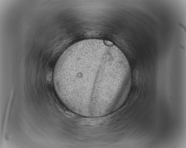 X0000102400033200808221858
