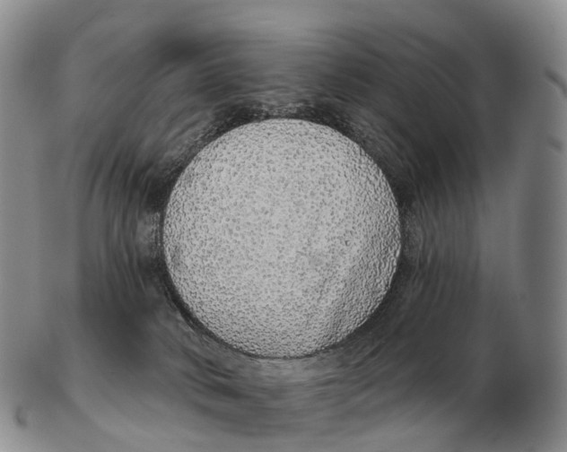 X0000102400034200808221858