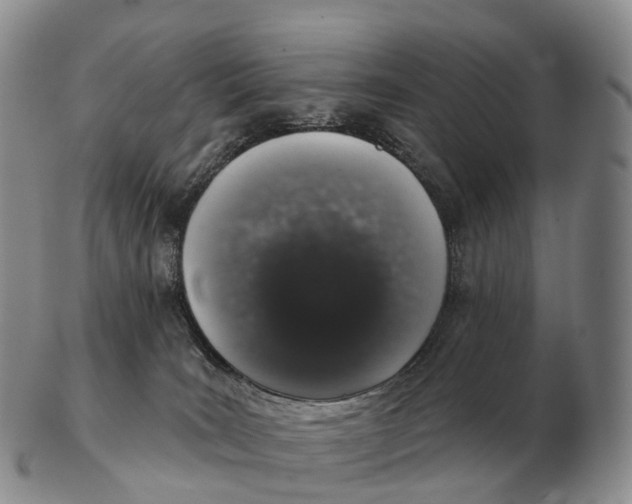 X0000102400035200808221858