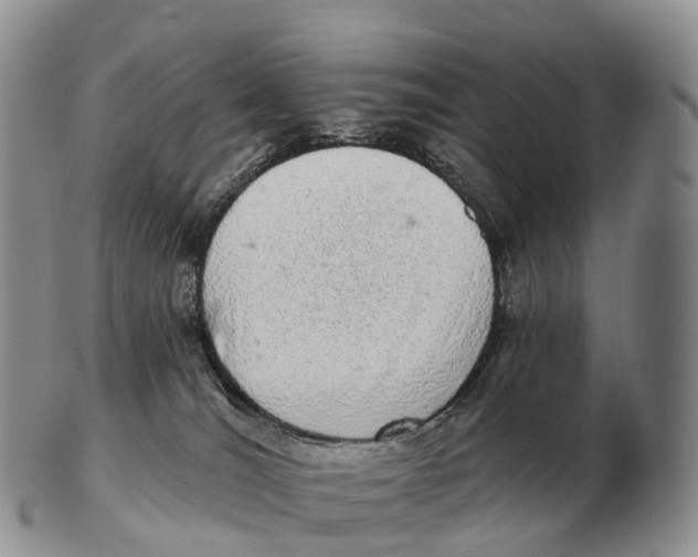X0000102400036200808221858