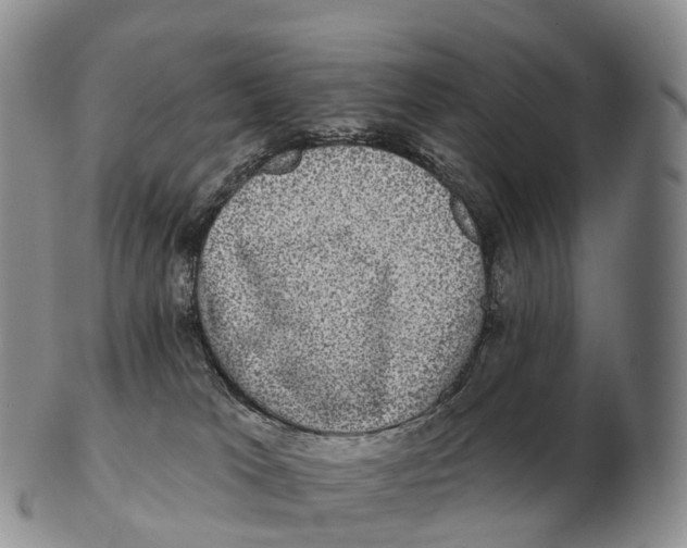 X0000102400037200808221858