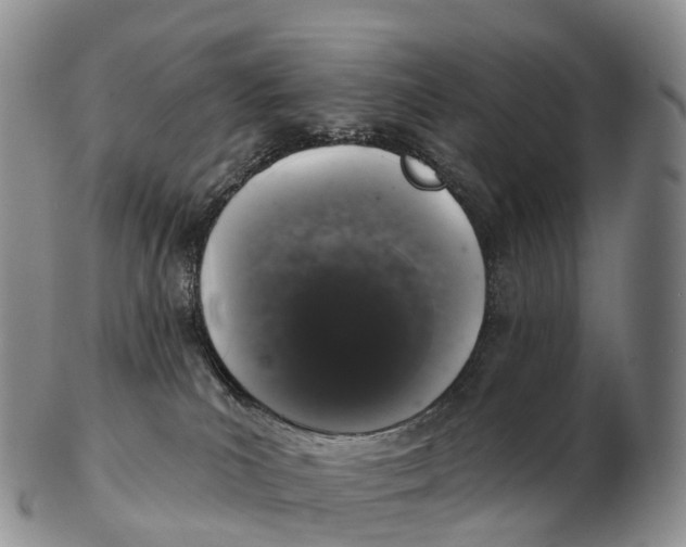 X0000102400039200808221858