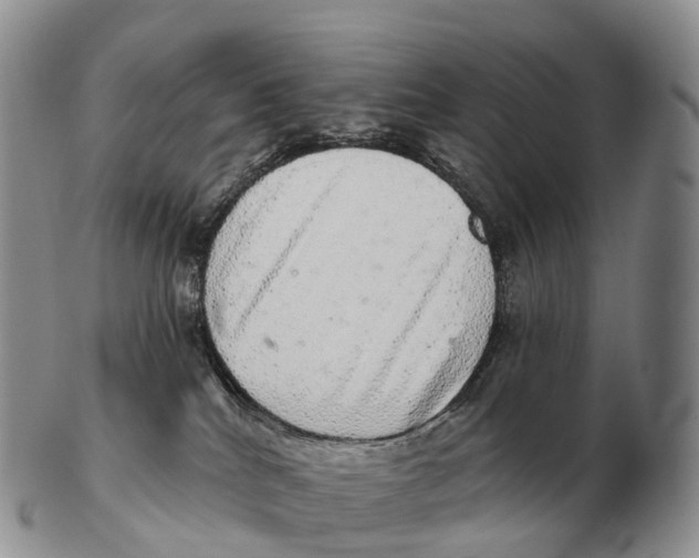 X0000102400040200808221858