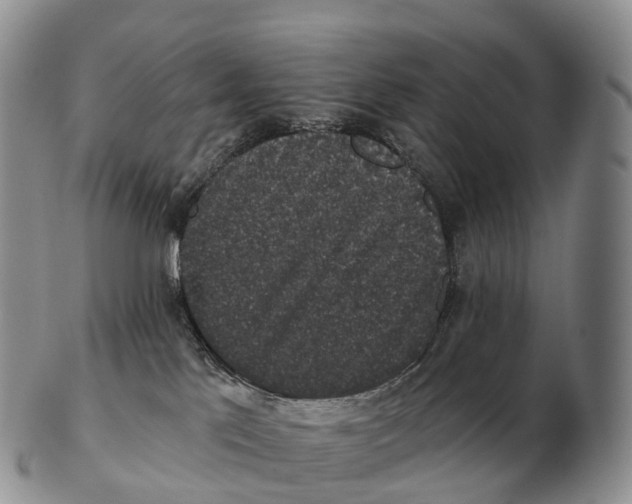 X0000102400041200808221858