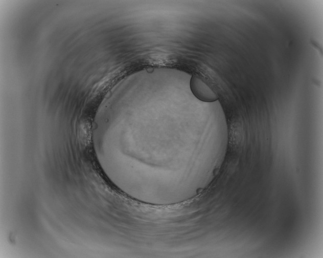 X0000102400043200808221858