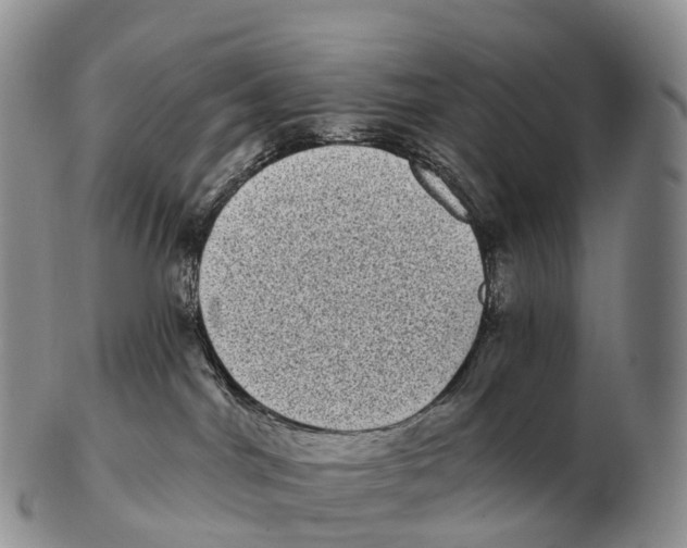 X0000102400044200808221858