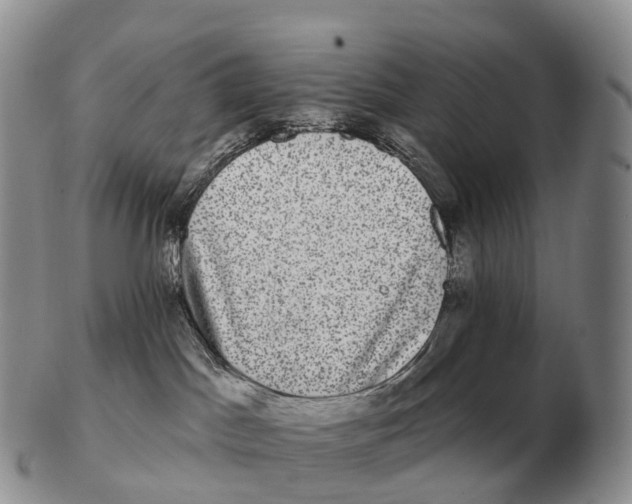 X0000102400045200808221858
