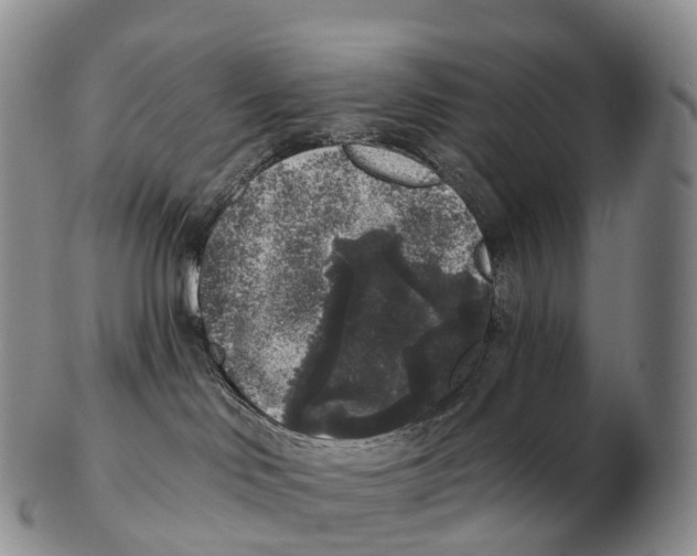 X0000102400046200808221858