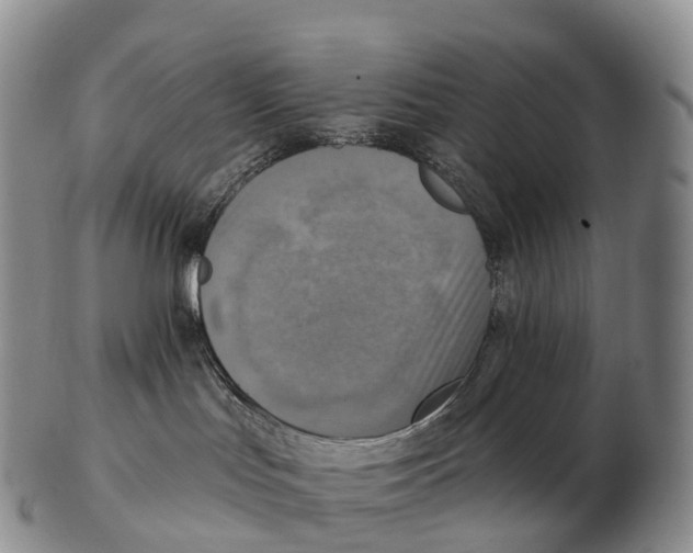 X0000102400047200808221858