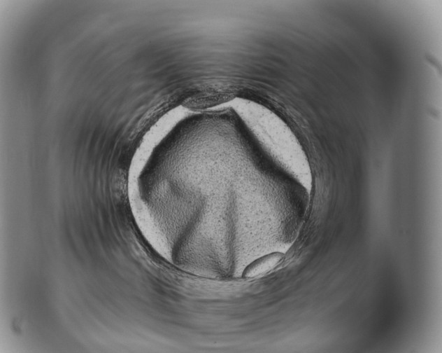 X0000102400048200808221858