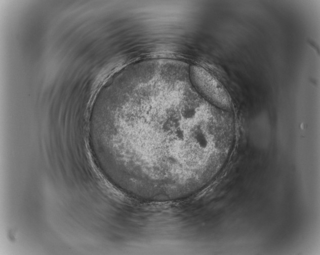 X0000102400049200808221857