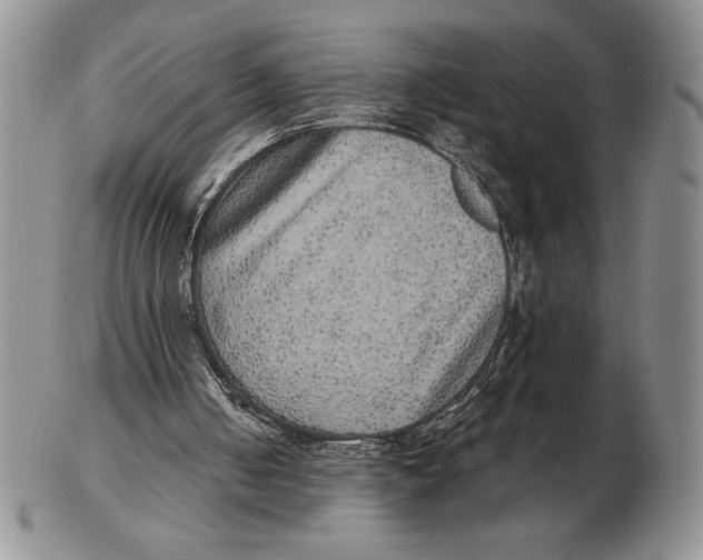 X0000102400050200808221857