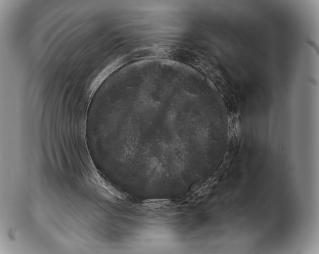 X0000102400051200808221857