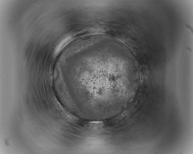 X0000102400053200808221857