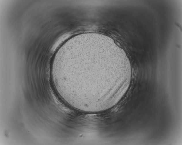 X0000102400054200808221857
