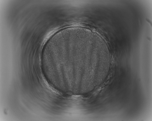 X0000102400055200808221857