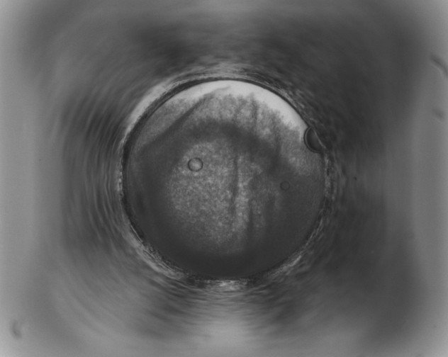 X0000102400056200808221857