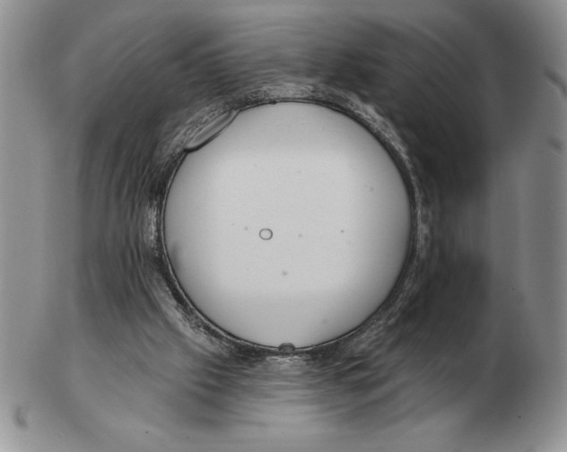 X0000102400057200808221857