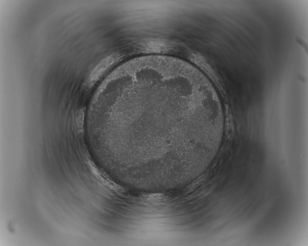 X0000102400058200808221857