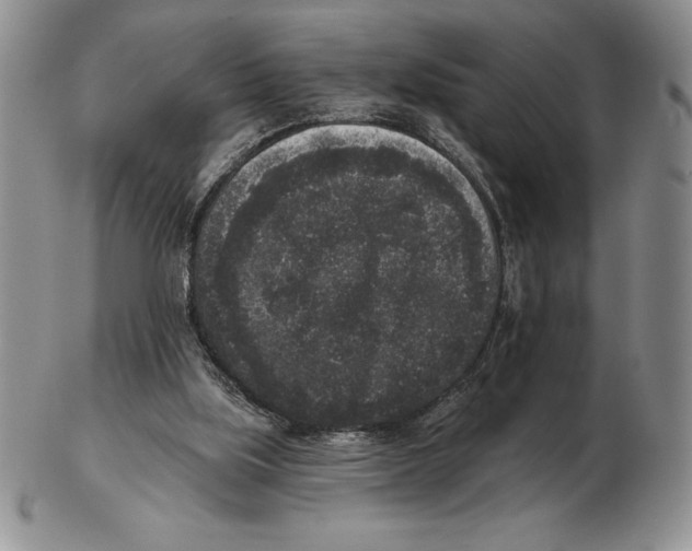 X0000102400059200808221857