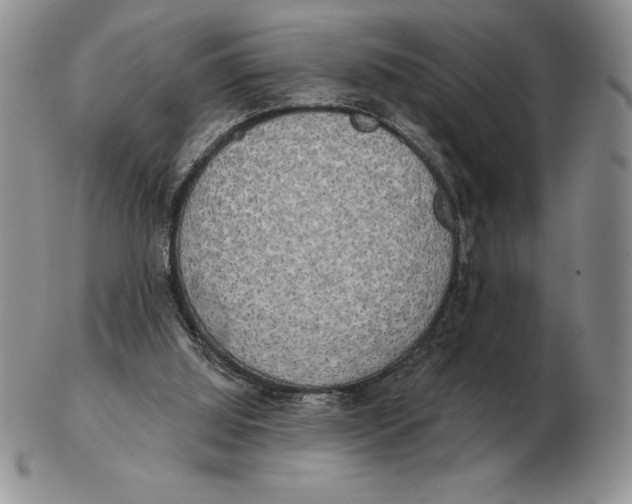 X0000102400060200808221857