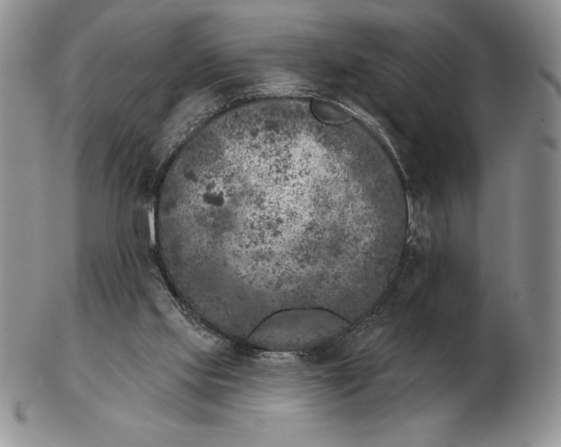 X0000102400061200808221857
