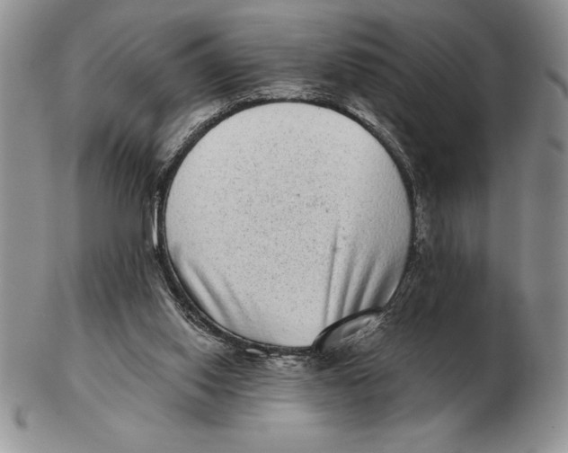 X0000102400062200808221857