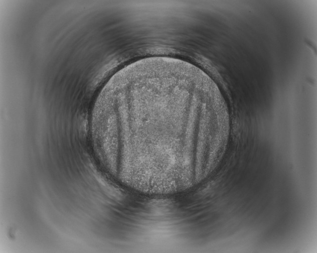 X0000102400063200808221857