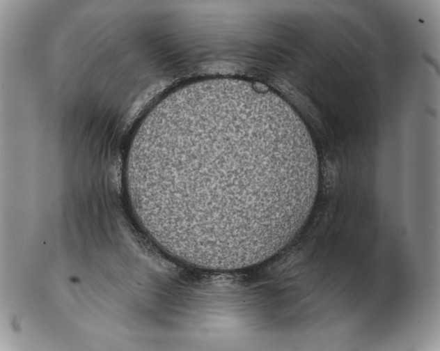 X0000102400064200808221857