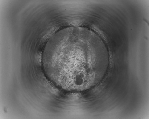 X0000102400065200808221857