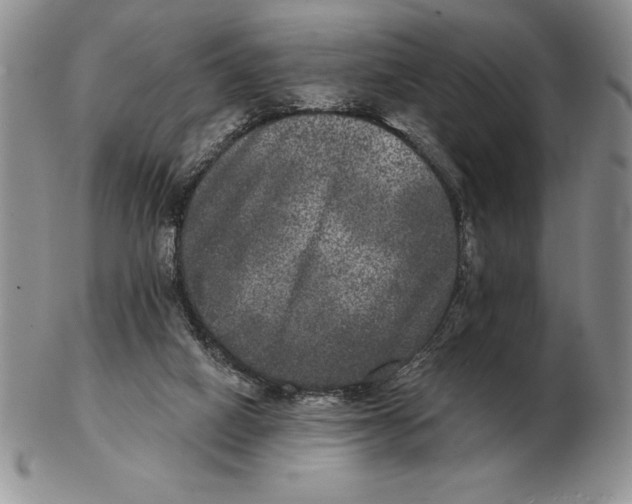 X0000102400066200808221857