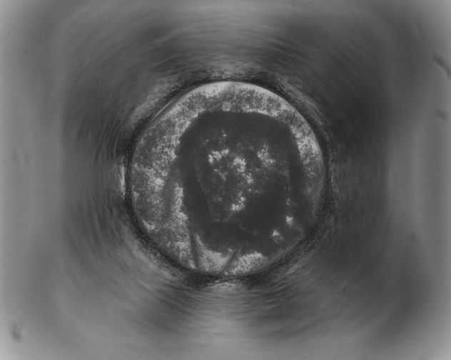 X0000102400067200808221857