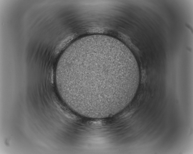 X0000102400068200808221857