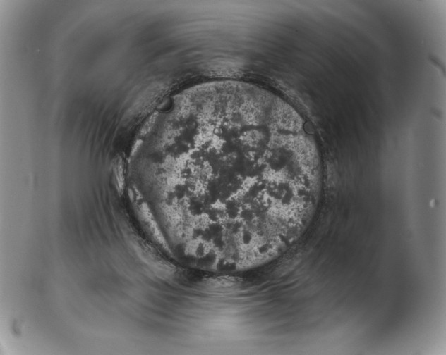 X0000102400069200808221857
