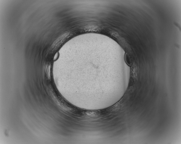 X0000102400070200808221857