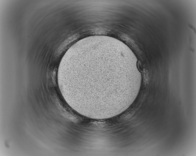 X0000102400071200808221857