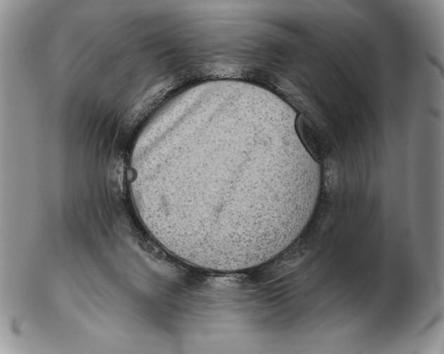 X0000102400072200808221857